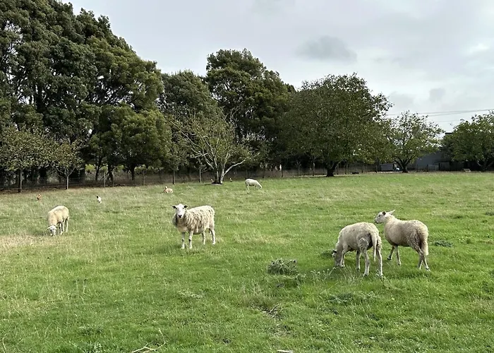Country Retreats On Ranzau 7