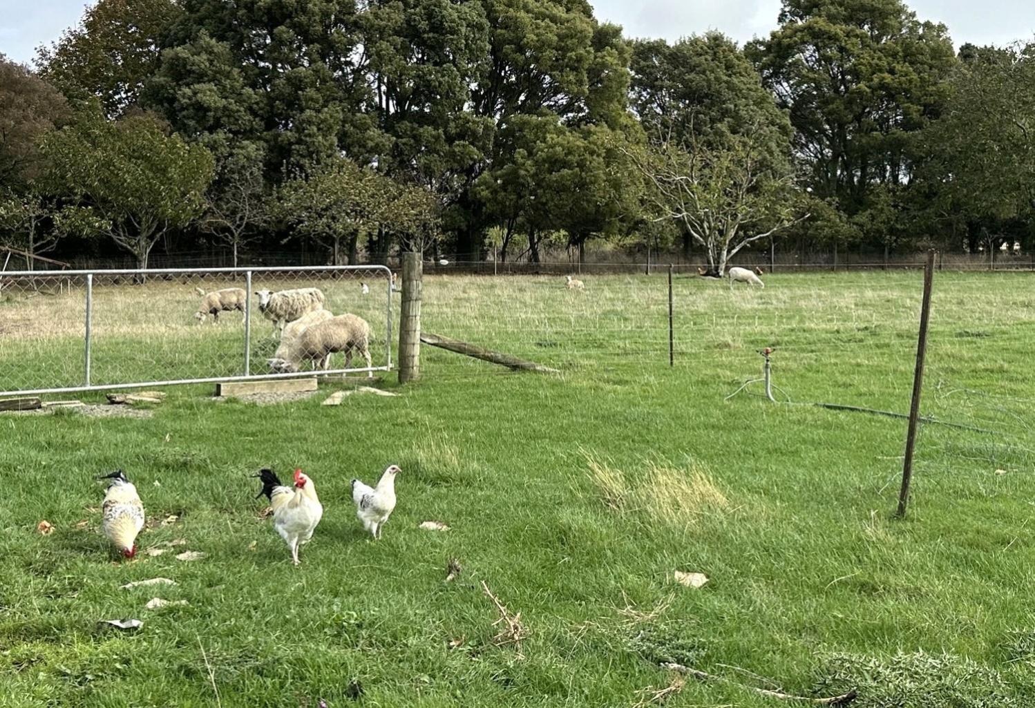 Apartment Country Retreats On Ranzau 7 Hope